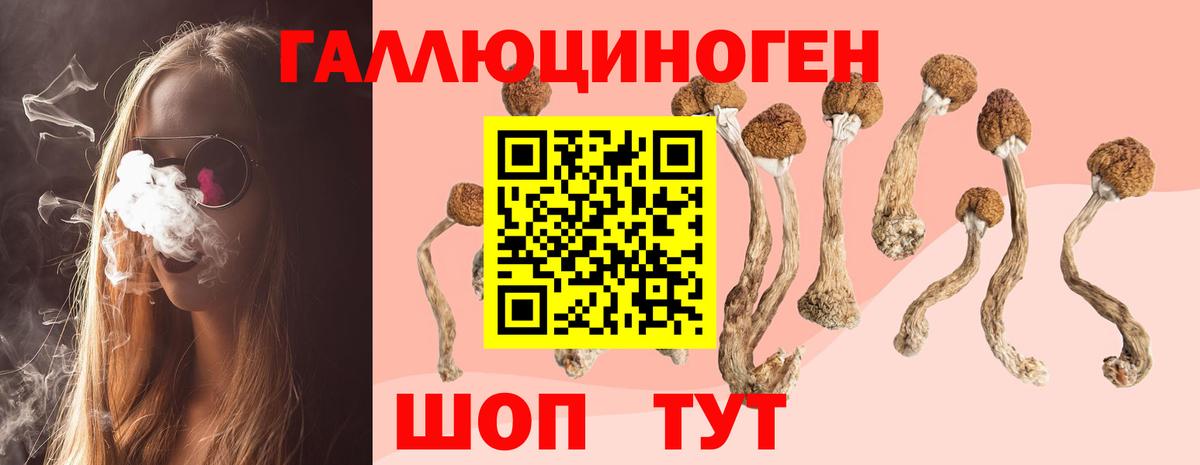Псилоцибиновые грибы Psilocybe  цены наркотик  Псилоцибиновые грибы Psilocybe  Новороссийск  Вход с VPN 